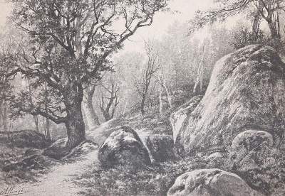 Bild Nr.2: 144-3217 Allongé, August: (Künstlergraphik)