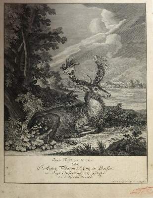 Bild Nr.1: 144-3254 Baratti, Antonio: (Künstlergraphik)