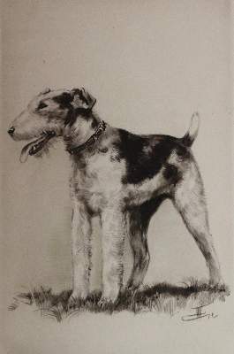 Bild Nr.3: 144-3323 Burkhardt, Fritz: (Künstlergraphik)