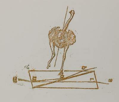 Bild Nr.2: 144-3482 Ernst, Max: (Künstlergraphik)