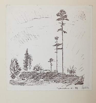 Bild Nr.3: 144-3540 Gelbke, Georg: (Künstlergraphik)