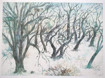 Bild Nr.2: 144-3576 Grass, Günter: (Künstlergraphik)