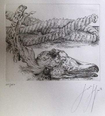 Bild Nr.1: 144-3579 Grass, Günter: (Künstlergraphik)