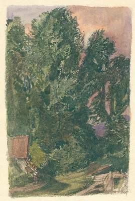 Bild Nr.1: 144-3797 Jettmar, Rudolf: (Künstlergraphik)