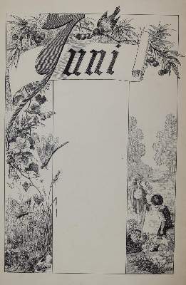 Bild Nr.3: 144-3803 Jugendblätter.: (Künstlergraphik)