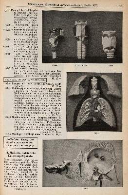 Bild Nr.2: 144-390 Konvolut: (Varia)