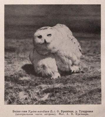 Bild Nr.5: 144-395 Konvolut: (Varia)