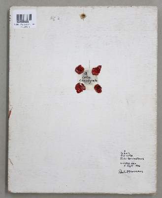 Bild Nr.2: 144-4062 Mersmann, Paul, der Jüngere: (Künstlergraphik)