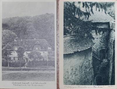 Bild Nr.3: 144-4080 Mönig, Alice.: (Künstlergraphik)