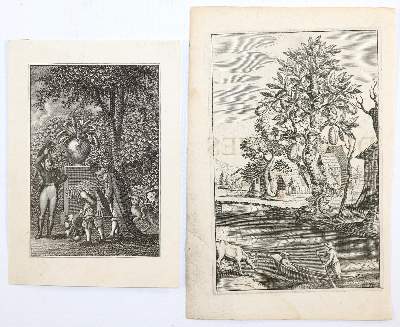 Bild Nr.2: 144-4167 Pfeffel II, Johann Andréas: (Künstlergraphik)