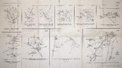 Bild Nr.2: 144-420 Eltester u. Schlee.: (Militaria, Regimentsgeschichte)