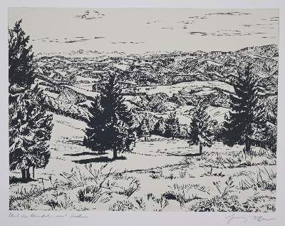 Bild Nr.5: 144-4221 Reiser, Cobi: (Künstlergraphik)