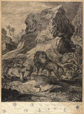 Bild Nr.1: 144-4264 Ridinger, Johann Elias: (Künstlergraphik)