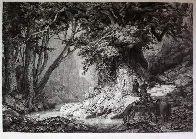 Bild Nr.2: 144-4474 Wald.: (Künstlergraphik)