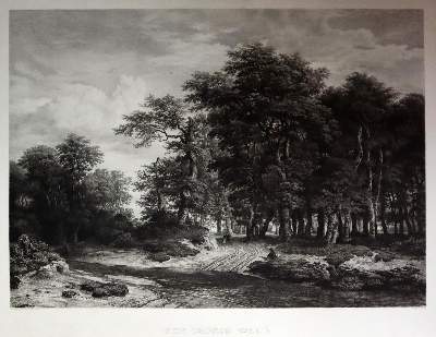 Bild Nr.4: 144-4474 Wald.: (Künstlergraphik)