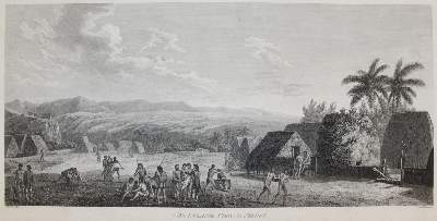 Bild Nr.1: 144-4482 Webber, John: (Künstlergraphik)
