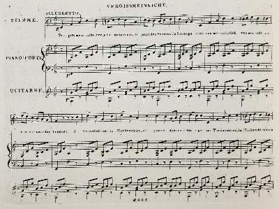 Bild Nr.2: 144-458 Seegner,F.: (Musik)