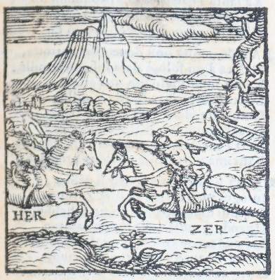 Bild Nr.4: 144-46 Ariosto,L.: (Einband)