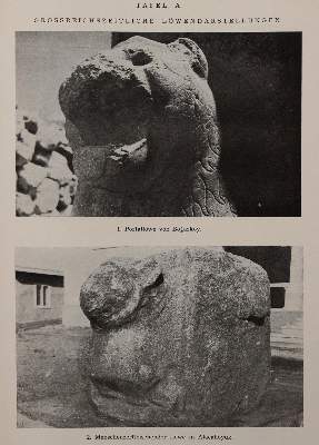 Bild Nr.3: 144-480 Rückgänge aus: (Varia)