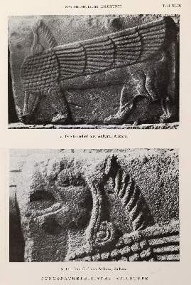 Bild Nr.4: 144-480 Rückgänge aus: (Varia)