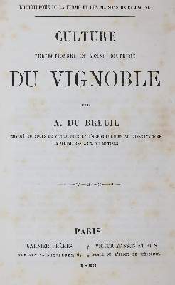 Bild Nr.31: 144-484 Rückgänge aus: (Varia)