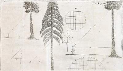 Bild Nr.3: 144-525 Döbel,H.W.: (Jagd)