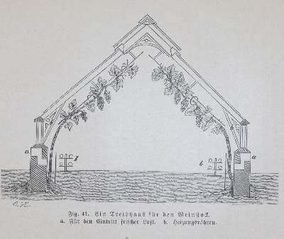 Bild Nr.3: 144-534 Hüttig,O.: (Küche und Haushalt, Getränke, Wein)