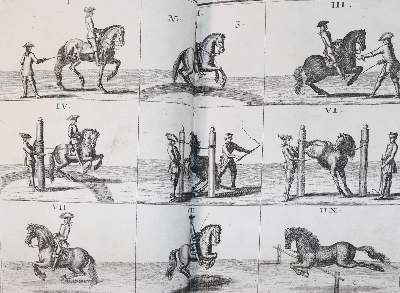 Bild Nr.13: 144-545 Florinus,F.P.: (Küche und Haushalt, Hausväterliteratur)