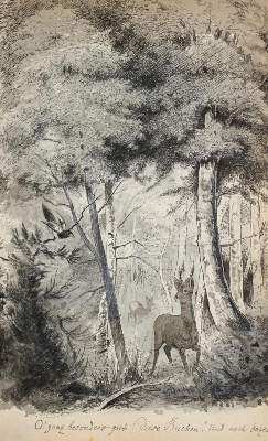 Bild Nr.7: 144-546 Davidis,H.: (Küche und Haushalt, Kochbücher)