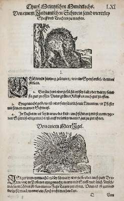 Bild Nr.1: 144-559 Rumpolt,M.: (Küche und Haushalt, Kochbücher)