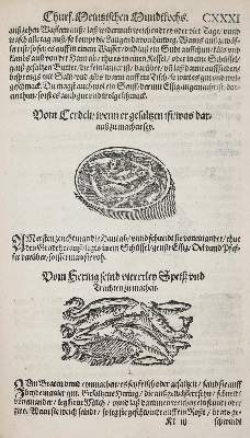 Bild Nr.3: 144-559 Rumpolt,M.: (Küche und Haushalt, Kochbücher)
