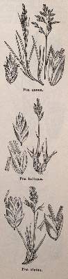 Bild Nr.5: 144-573 Sammlung: (Land- und Forstwirtschaft, Garten)