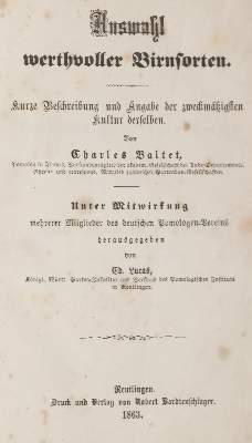 Bild Nr.3: 144-582 Baltet,C.: (Land- und Forstwirtschaft, Obstbau)