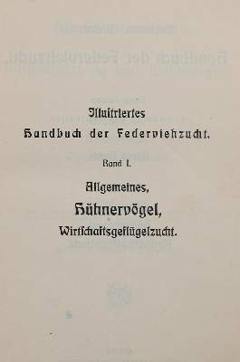 Bild Nr.2: 144-587 Beeck,A.: (Land- und Forstwirtschaft, Tierhaltung, Geflügel)
