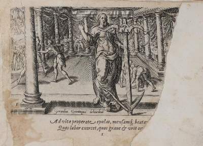 Bild Nr.3: 144-59 Galle,Ph.: (Alte Drucke, Handschriften und Theologie)