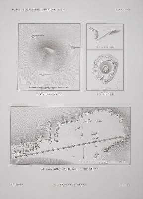 Bild Nr.2: 144-593 Humann,K. u. O.Puchstein.: (Archäologie)