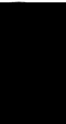 Bild Nr.3: 144-729 Luz,G.: (Faksimile)