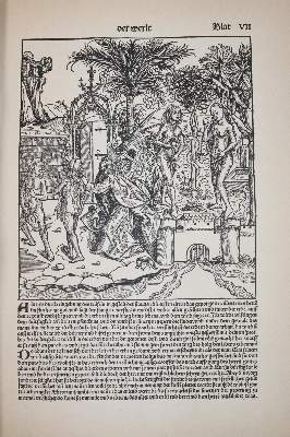 Bild Nr.3: 144-740 Schedel,H.: (Faksimile)