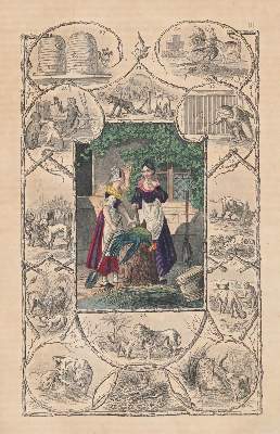 Bild Nr.3: 144-835 Aesop.: (Kinder- und Jugendbücher)