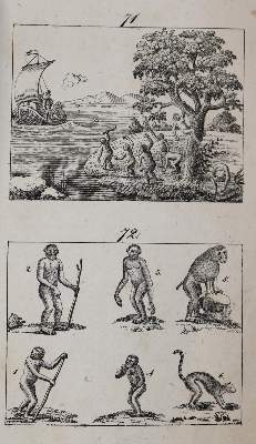 Bild Nr.3: 144-863 Gailer,J.E.: (Kinder- und Jugendbücher)