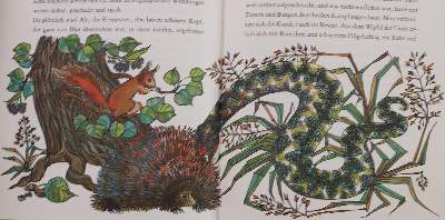 Bild Nr.3: 144-876 Konvolut: (Kinder- und Jugendbücher)