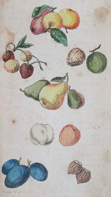 Bild Nr.6: 144-885 Löhr,J.A.C.: (Kinder- und Jugendbücher)