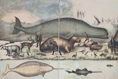 Bild Nr.2: 144-910 Panorama: (Kinder- und Jugendbücher)