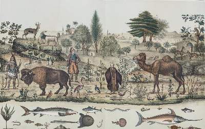 Bild Nr.6: 144-910 Panorama: (Kinder- und Jugendbücher)