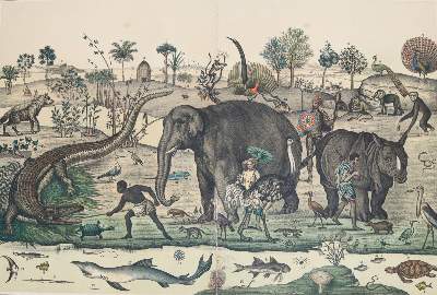 Bild Nr.7: 144-910 Panorama: (Kinder- und Jugendbücher)
