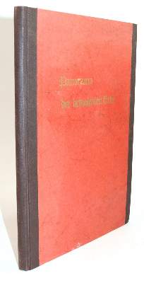 Bild Nr.8: 144-910 Panorama: (Kinder- und Jugendbücher)