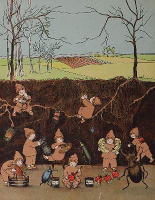 Bild Nr.3: 144-915 Probst,H.: (Kinder- und Jugendbücher)