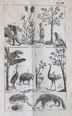 Bild Nr.3: 144-918 Raff,G.C.: (Kinder- und Jugendbücher)