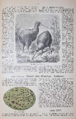 Bild Nr.2: 144-937 Schubert,G.H.v.: (Kinder- und Jugendbücher)