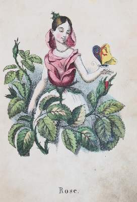 Bild Nr.5: 144-943 Sprechenden Blumen, Die.: (Kinder- und Jugendbücher)
